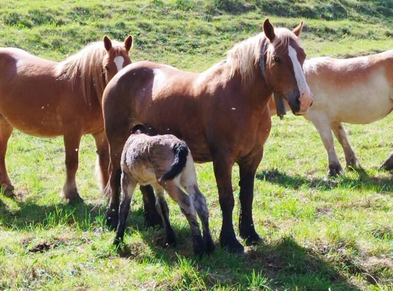 Captura de pantalla 2026-03-16 a las 17.59.22 (5)