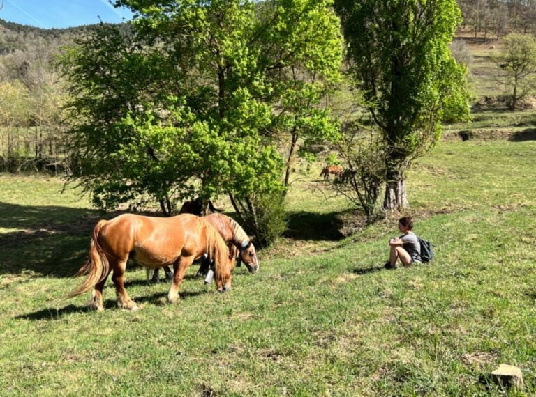 Captura de pantalla 2026-03-16 a las 17.59.22 (7)